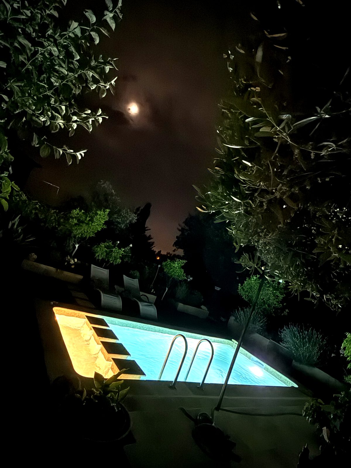 Villa Augflor private pool and garden, Cagnes-sur-Mer