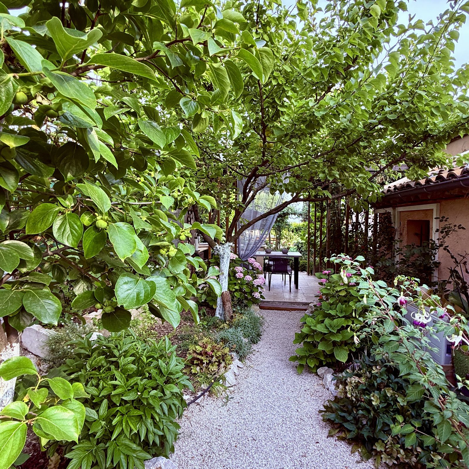 Villa Augflor private pool and garden, Cagnes-sur-Mer